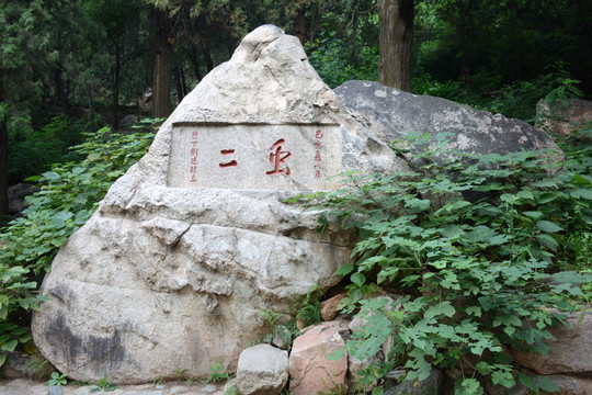 泰山蟲(chóng)二