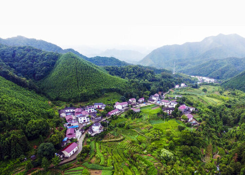 鳥瞰南山