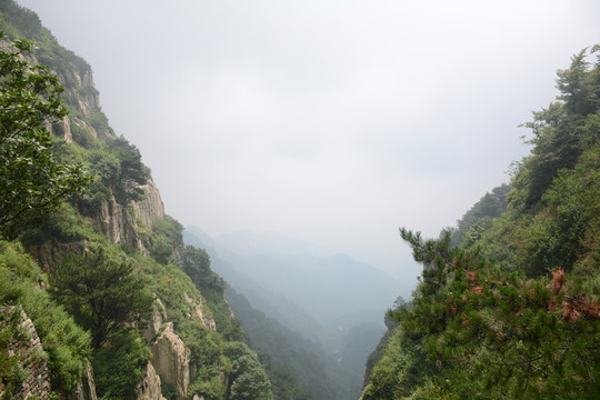 泰山風(fēng)光