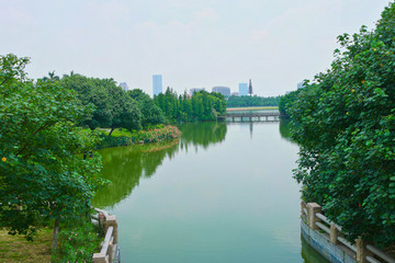 河涌