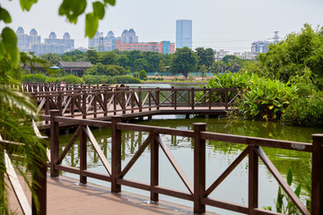 公園九曲橋