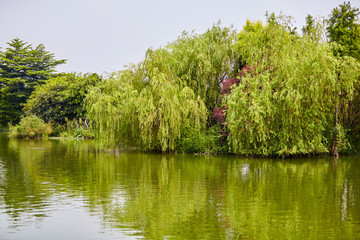 公園小景
