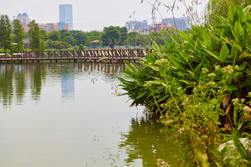 公園小景
