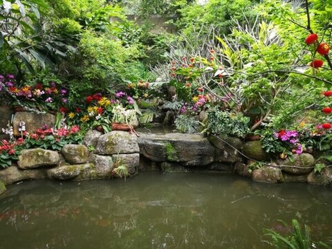 公園一角