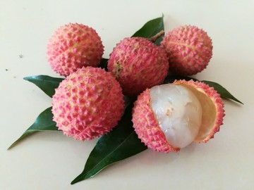 荔枝成熟了