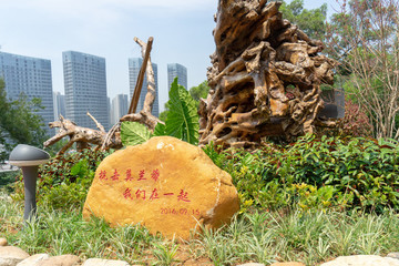 倒著的大樹