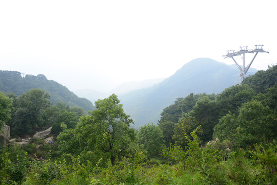 綠樹(shù)青山