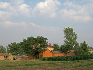 農(nóng)村
