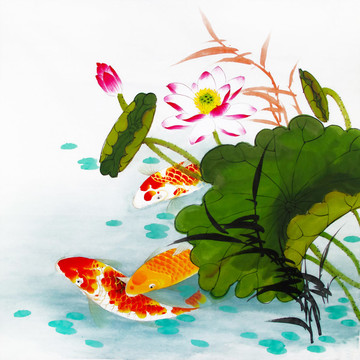 鯉魚荷花