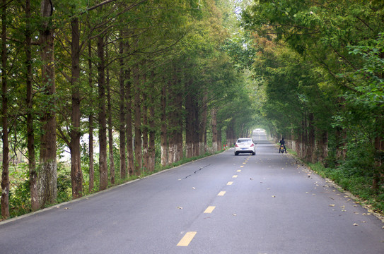 鄉(xiāng)村公路