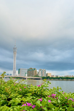 二沙島美景