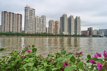 珠江兩岸