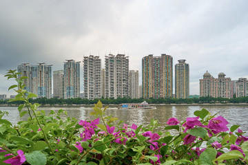 珠江兩岸