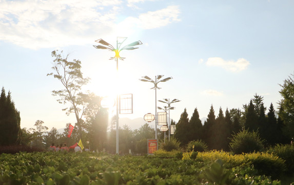 公園夕陽(yáng)