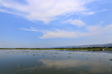 養(yǎng)殖水域