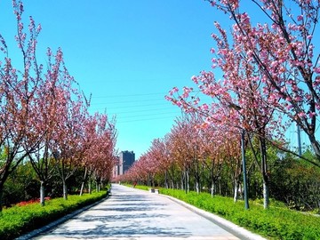 滁河濕地公園