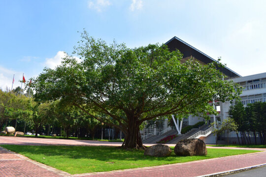 深圳大學(xué)
