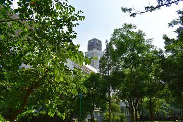 深圳大學(xué)