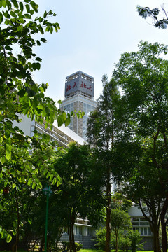 深圳大學(xué)