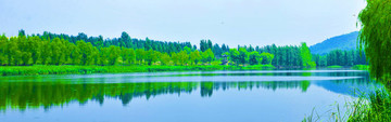 河道治理