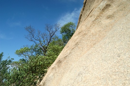 高山
