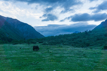 貢嘎雪山環(huán)線徒步風(fēng)光289