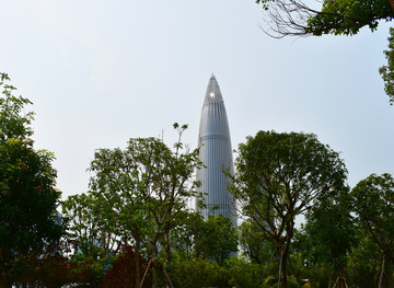 華潤(rùn)春筍