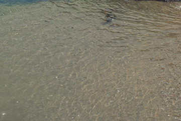 海灘水波紋