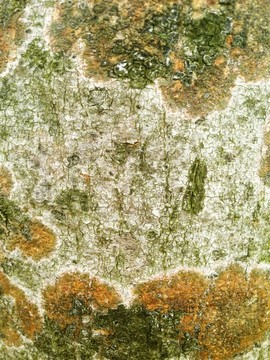 背景素材