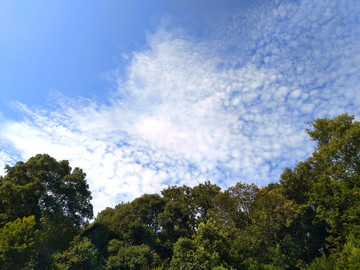 藍(lán)天