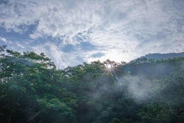 寶天曼風(fēng)景區(qū)
