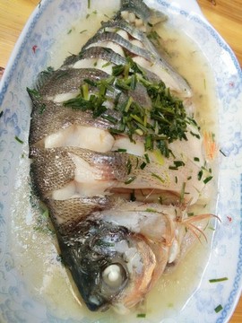 魚