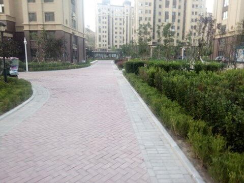 小區(qū)內(nèi)景