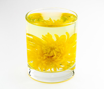 金絲皇菊