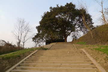 碼頭梯步