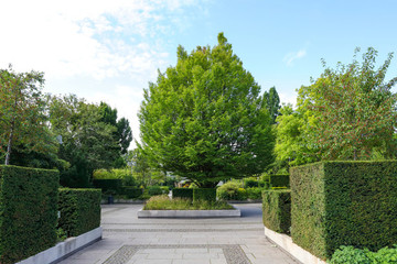 公園綠化