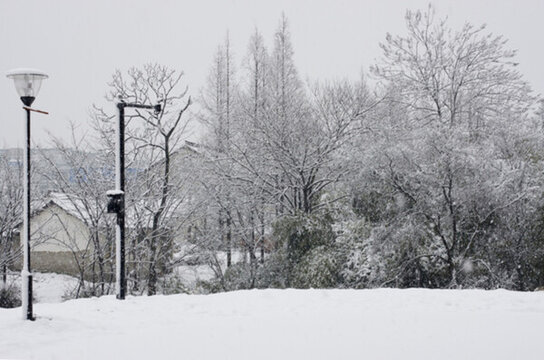 清涼雪景