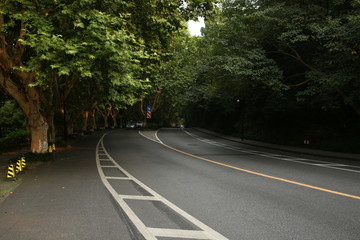 蘇堤漫步