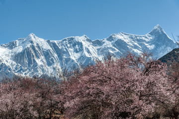 南迦巴瓦峰