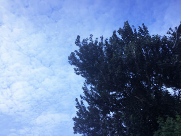 天空