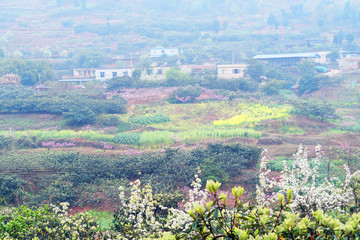 成都龍泉驛區(qū)寶獅湖村