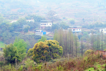 成都龍泉驛區(qū)寶獅湖