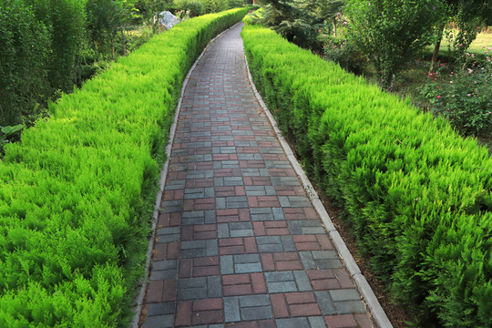 林間小路