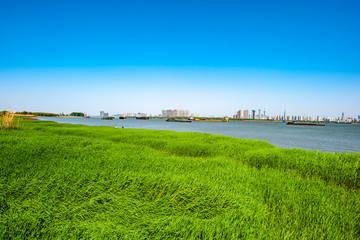 長(zhǎng)江江岸