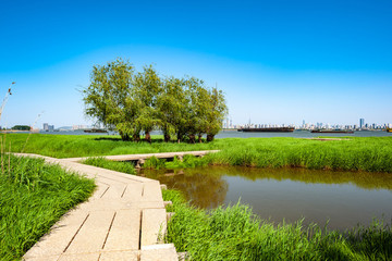 長江江岸