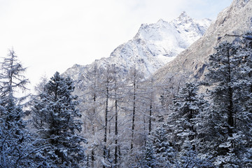 畢棚溝雪景