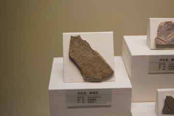 早志留紀(jì)單筆石