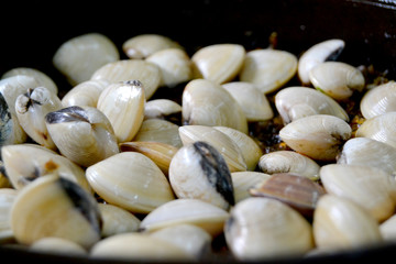 白貝酸菜煲蜆子