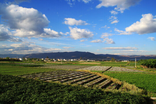 美麗鄉(xiāng)村