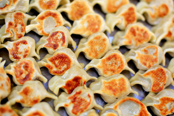 煎餃子